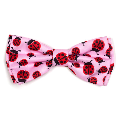 Ladybugs Bow Tie