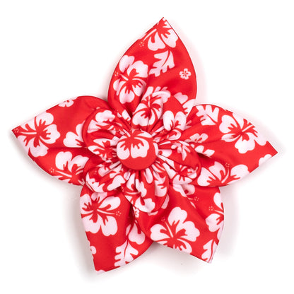 Aloha Flower
