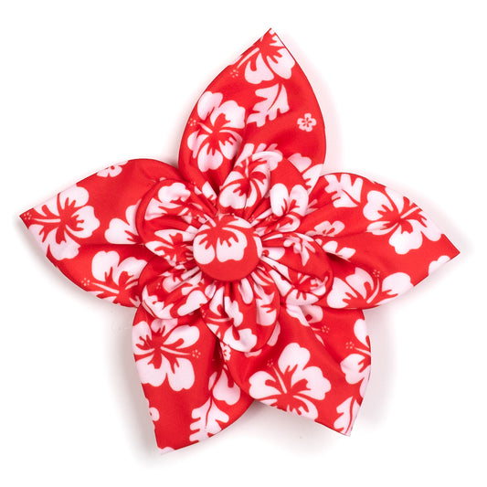 Aloha Flower
