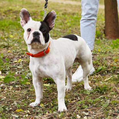 Biothane Adjustable Martingale Dog Collar with Metal Buckle