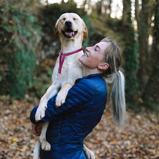 DOGLINE Soft Leather Round Martingale Collar on a happy dog held by a person