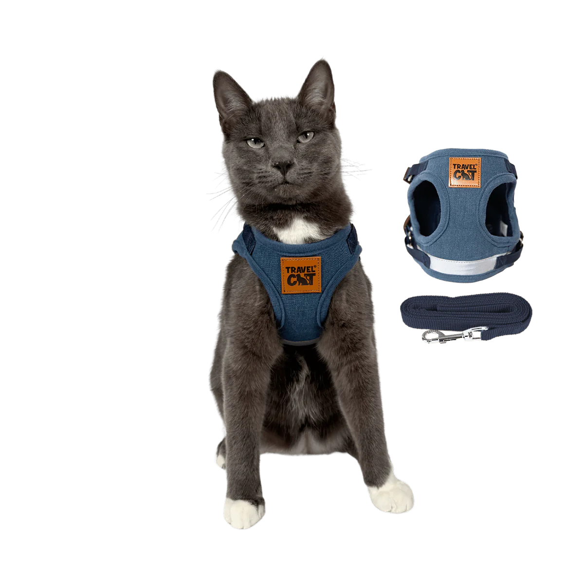 "The True Adventurer" Harness & Leash