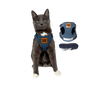 "The True Adventurer" Harness & Leash