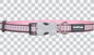 Buckle Bone Dog Collars - Reflective