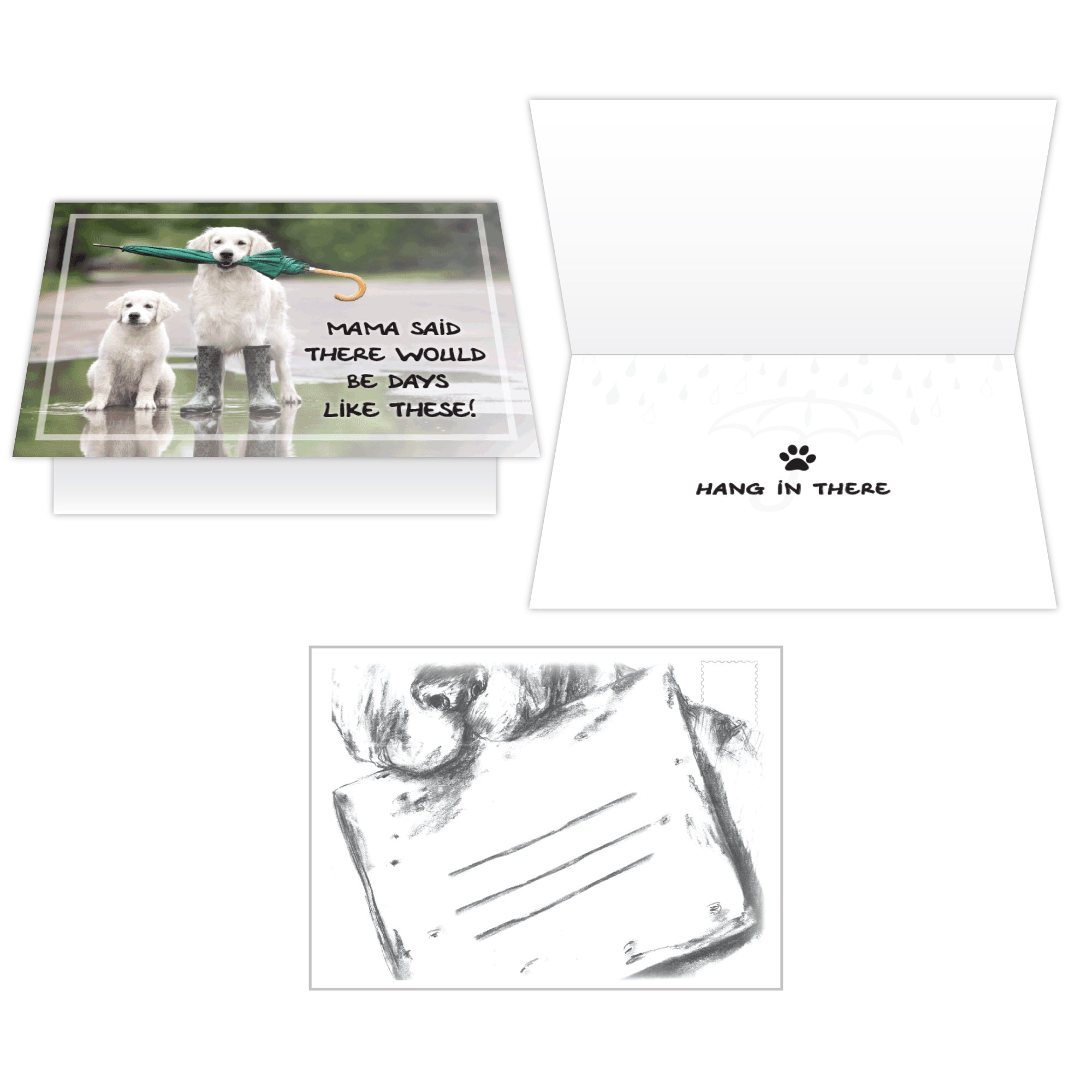 Cope Cards (Pack of 6) – All Creatures Solutions
