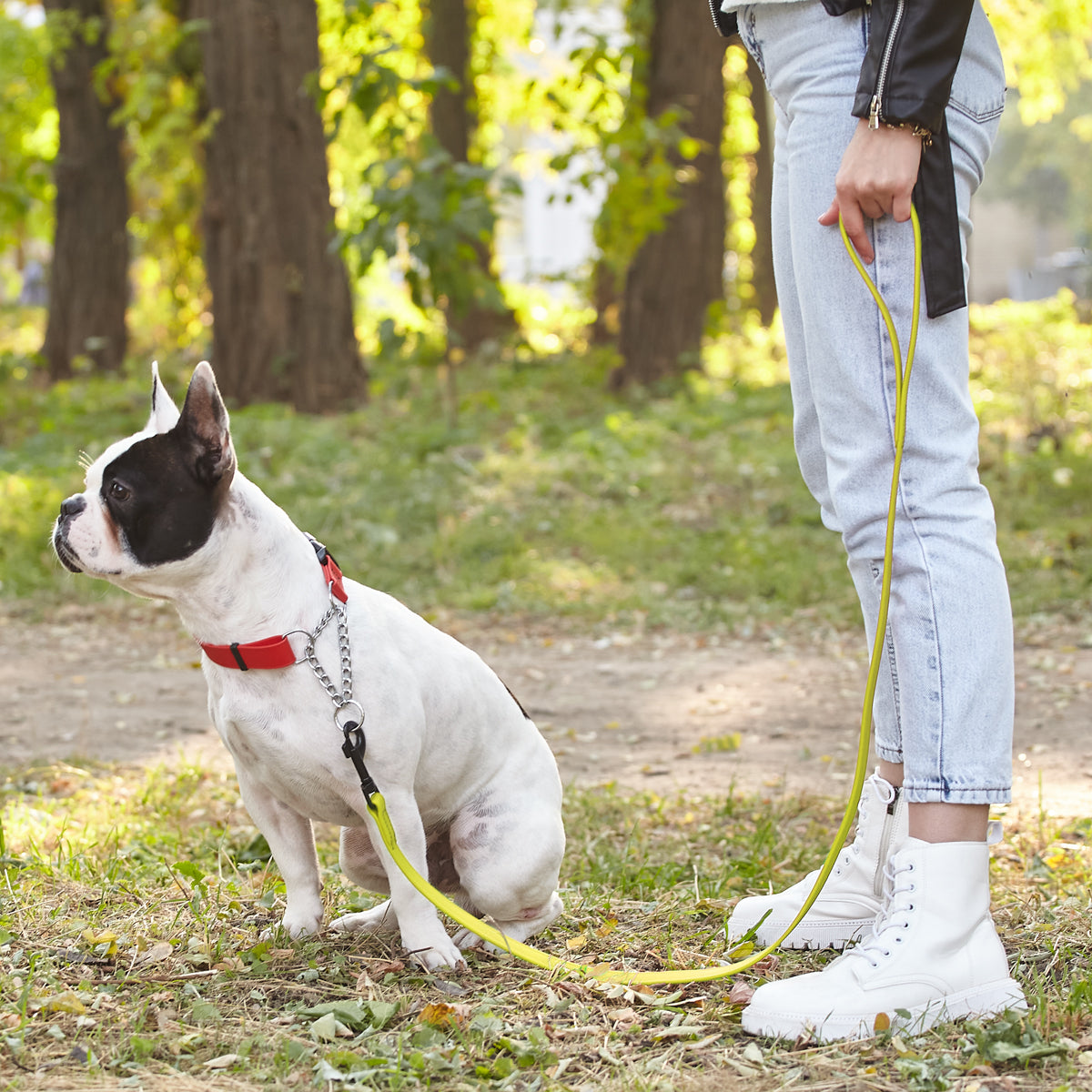 Biothane Waterproof Dog Leash 4 ft