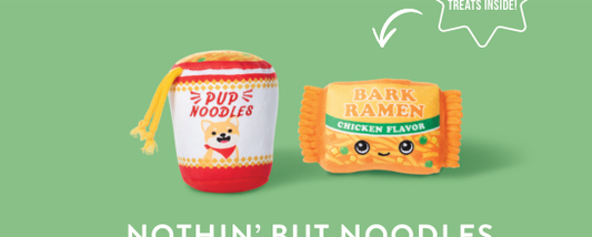 Fringe Studio Nothin But Noodles 2 Piece Dog Toy Set