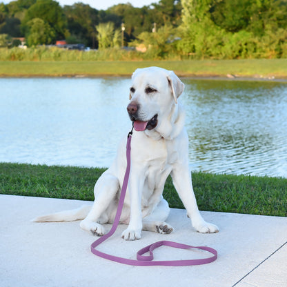 Biothane Waterproof Dog Leash 4 ft