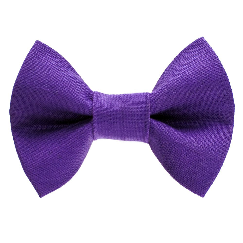 The Manager on Duty - Bow Tie