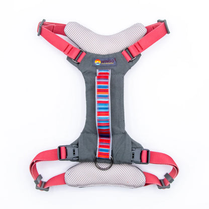 Monty Harness