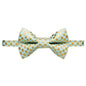 The Maverick - Cat Collar + Matching Removable Bow Tie