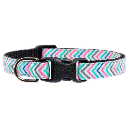 The Fashion Forward - Collar