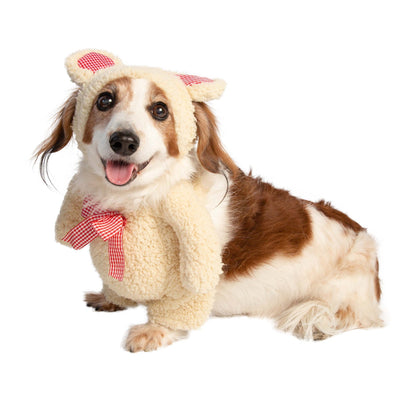 Walking Teddy Bear