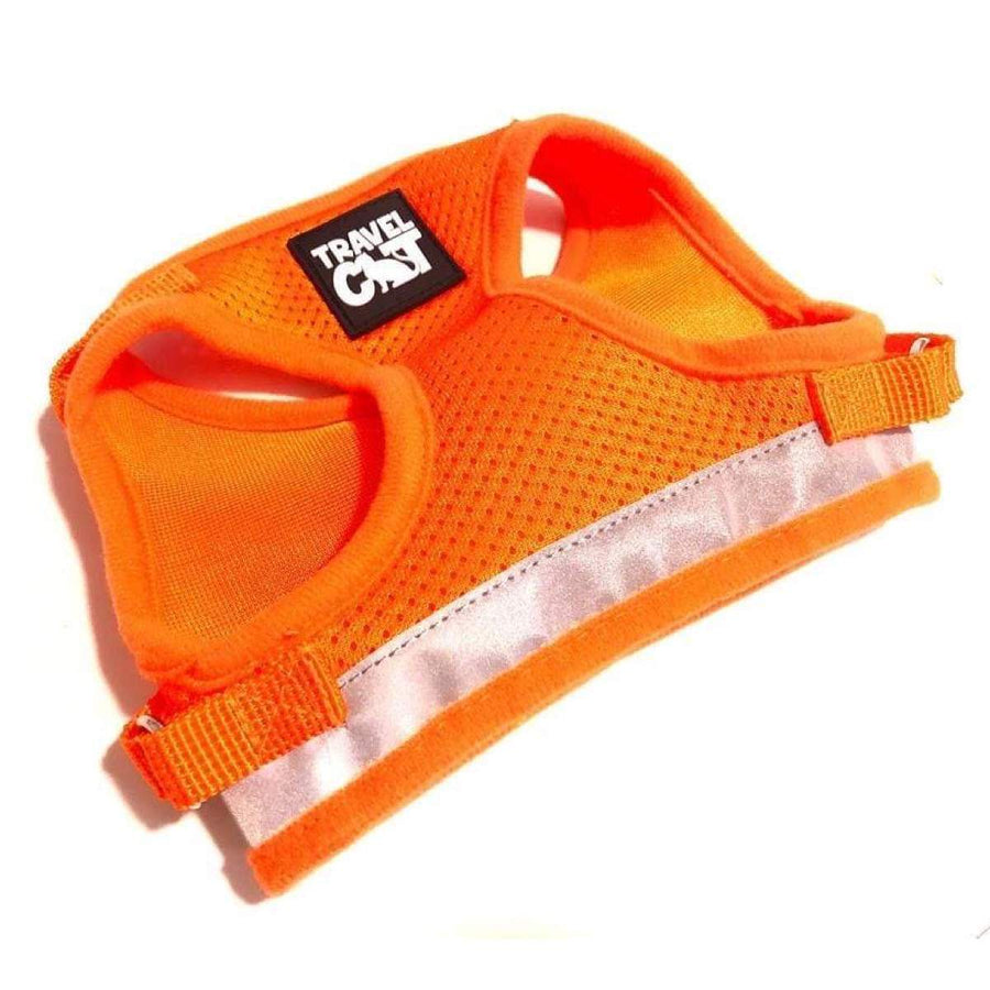 "The True Adventurer" Harness & Leash