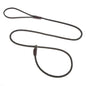 Slip Show Leads/Leashes