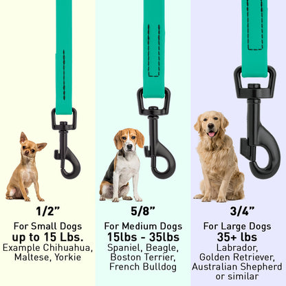 Biothane Waterproof Dog Leash 4 ft