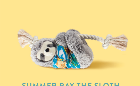 Summer Ray the Sloth dog toy with a rope for tugging