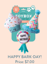 Fringe Studio HAPPY BARK-DAY 3PC SMALL DOG TOY SET with cupcake, party hat, and Happy Birthday ribbon
