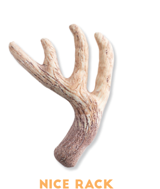 Fringe Studio NICE RACK PLUSH DOG TOY, a plush dog toy shaped like a deer antler