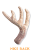 Fringe Studio NICE RACK PLUSH DOG TOY, a plush dog toy shaped like a deer antler