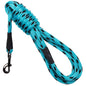 Snap Leashes - Twist Series ("Double Colors")