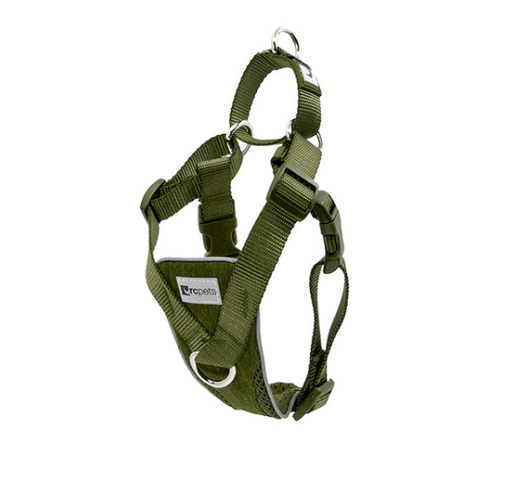 Tempo No Pull Harness