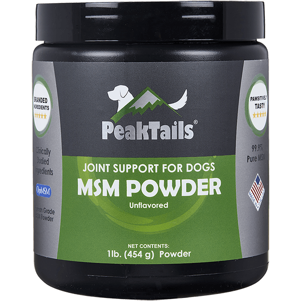 MSM Powder