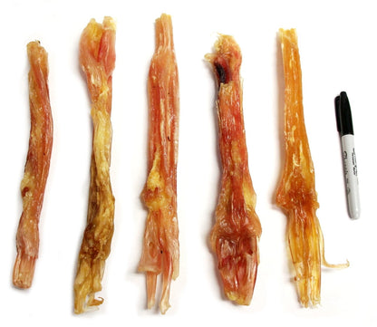 Extra Large Beef Tendon (Bulk) - Pack of 25