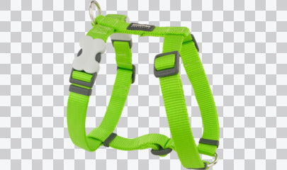 Dog Harness (H-Style) - Classic (Solid)