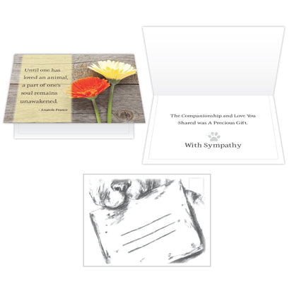 Sympathy Cards (Pack of 6)