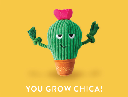 Green cactus plush toy with a pink flower on top, in an orange pot, on a yellow background