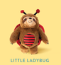 Little Ladybug plush toy, a brown sloth wearing a red ladybug costume with black spots and antennae