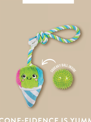 Shaved ice dog toy with a squeaky ball inside