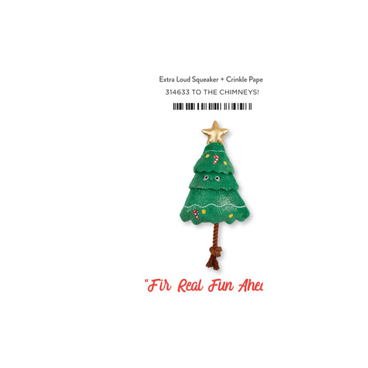 FIR REAL FUN AHEAD-packs of 4