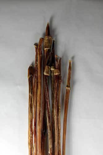 32-26" Odor Free Full Cane Bully Stick (Bulk) - Pack of 10