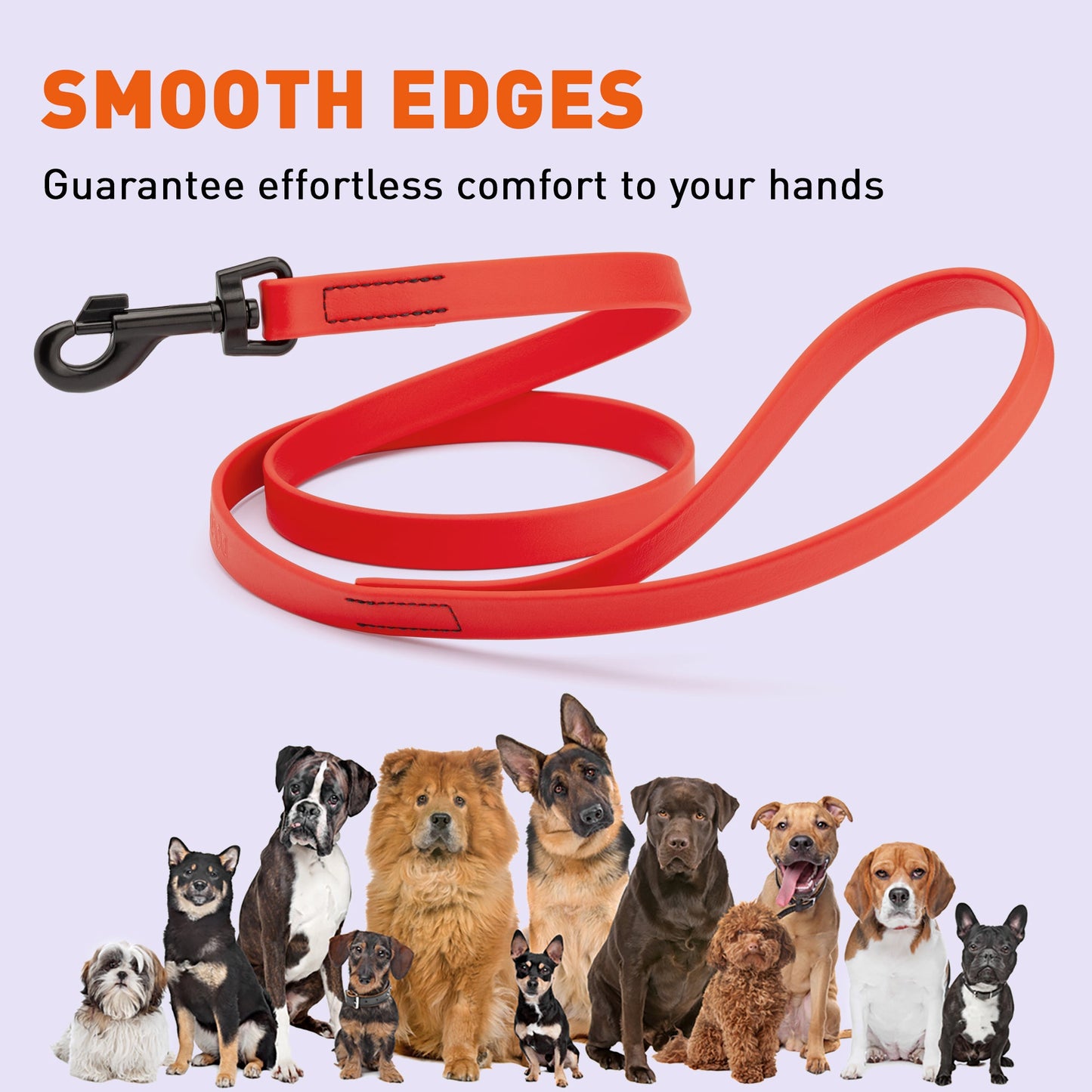 Biothane Waterproof Dog Leash 4 ft