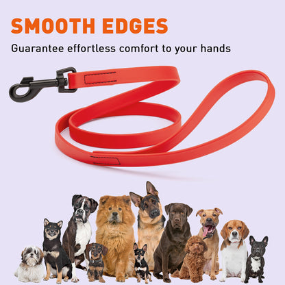 Biothane Waterproof Dog Leash 4 ft