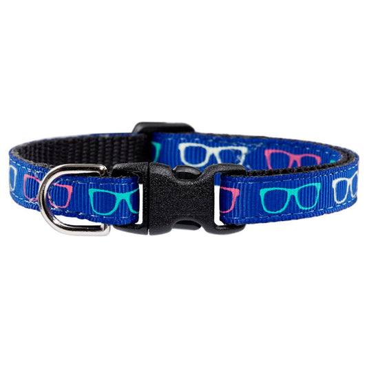The 20/20 Collar