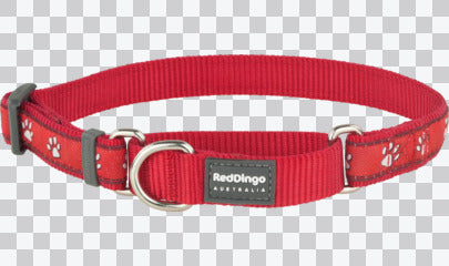 Martingale Dog Collars - Design