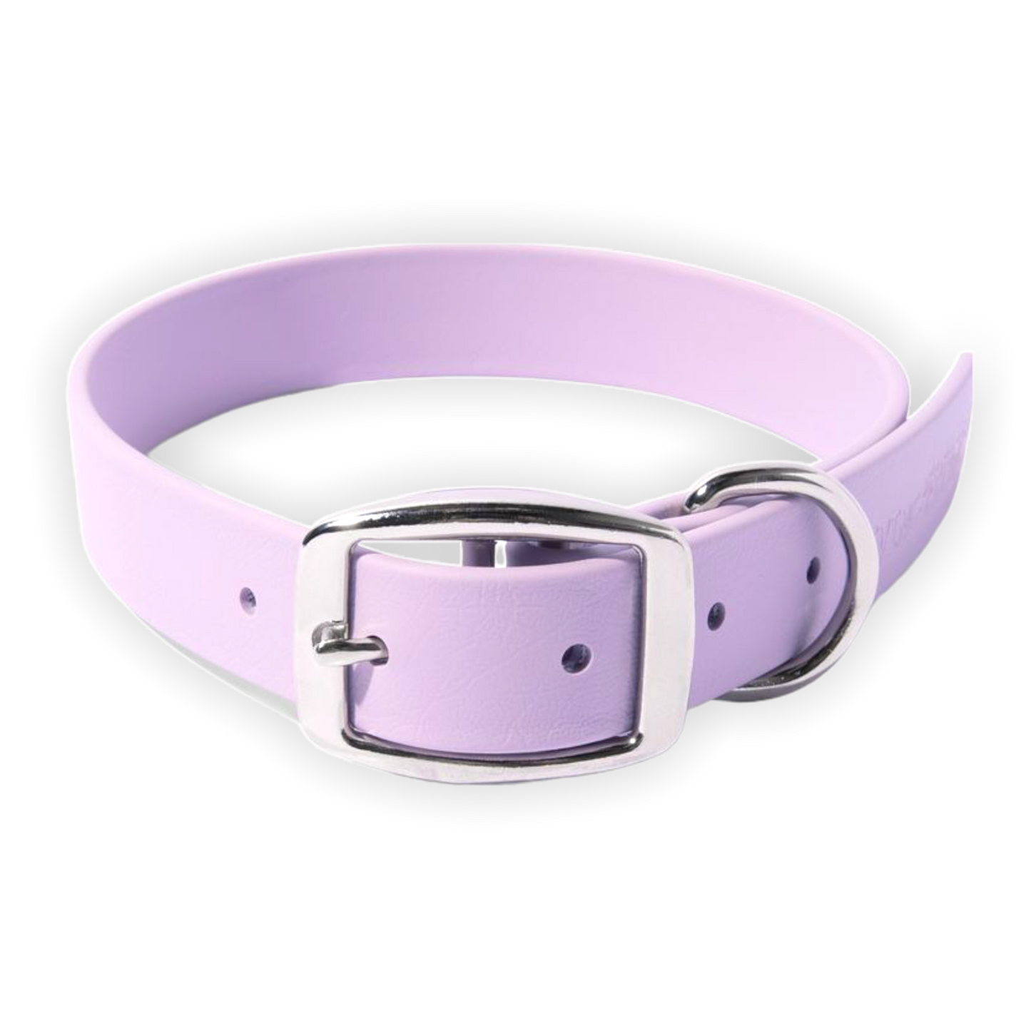 Bright & Bold Vegan Leather Collar
