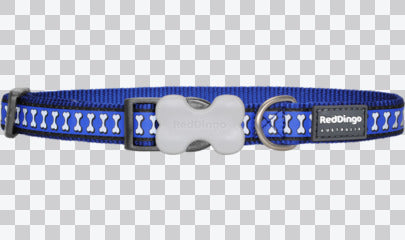 Buckle Bone Dog Collars - Reflective