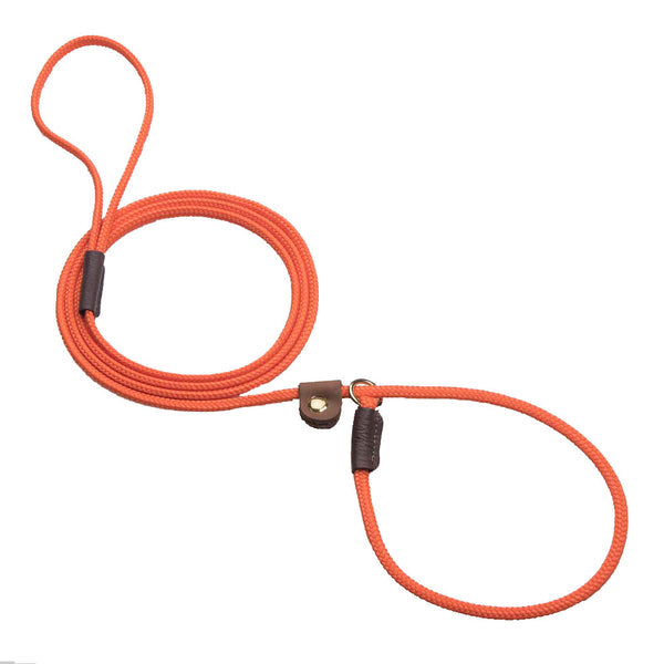 Slip w/Tab Show Leads/Leashes