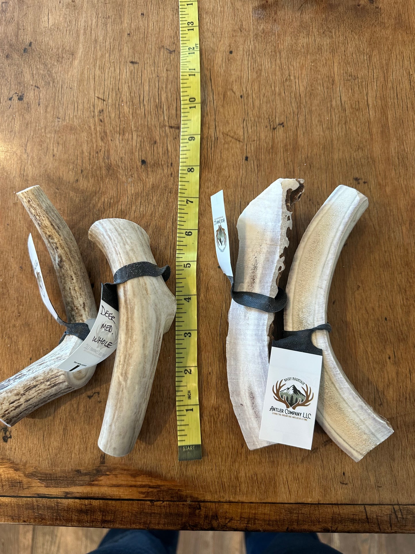 Deer Antlers