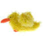 Oomaloo Pet Toy - Duck
