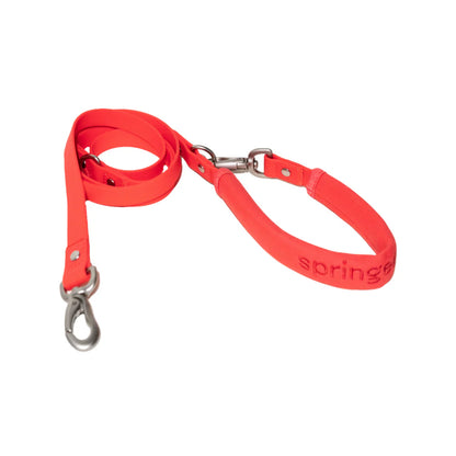 Small & Regular Leash (Case of 4)