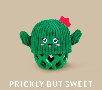 PRICKLY BUT SWEET TPR W/ PLUSH DOG TOY Case of 4