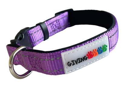 Neoprene Padded Nylon Dog Collar