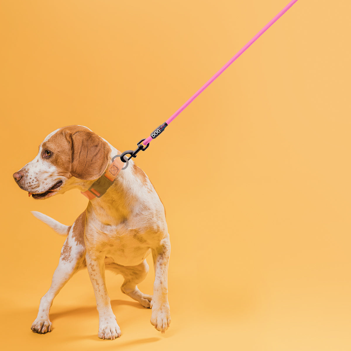 Nylon Round Lead