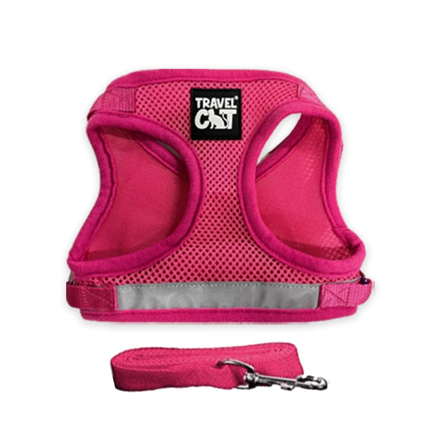 "The True Adventurer" Harness & Leash