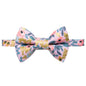 The Catchella - Cat Collar and Matching Removable Bow Tie